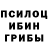 Галлюциногенные грибы мухоморы Dmitriy Azin