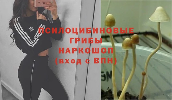 каннабис Алзамай