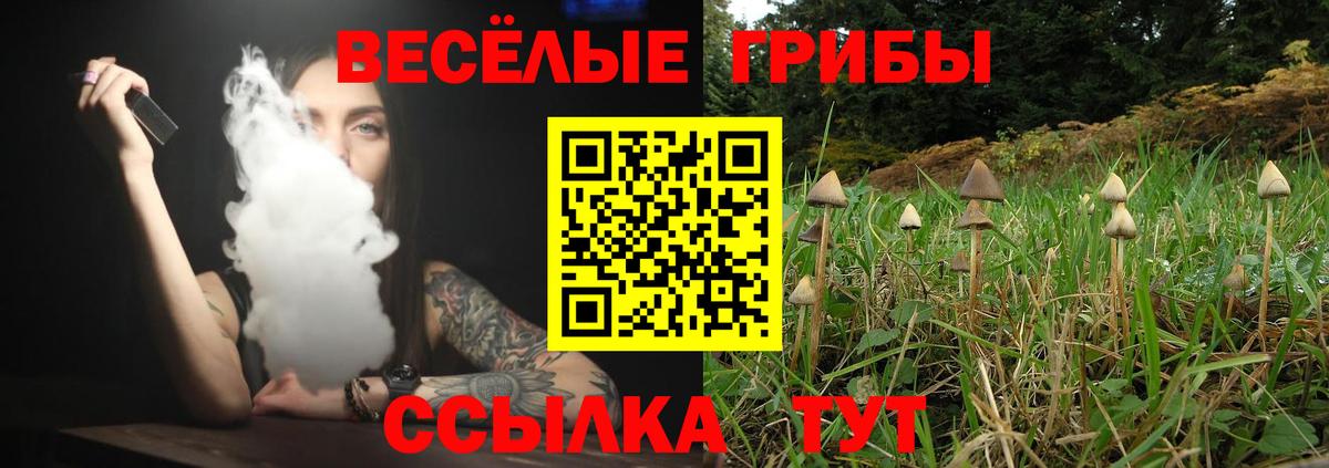 Арсеньев  Псилоцибиновые грибы мицелий  Вход с VPN 